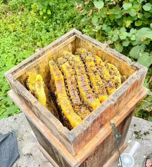 正宗土蜂蜜朋友圈广告，让你的销售额翻倍！