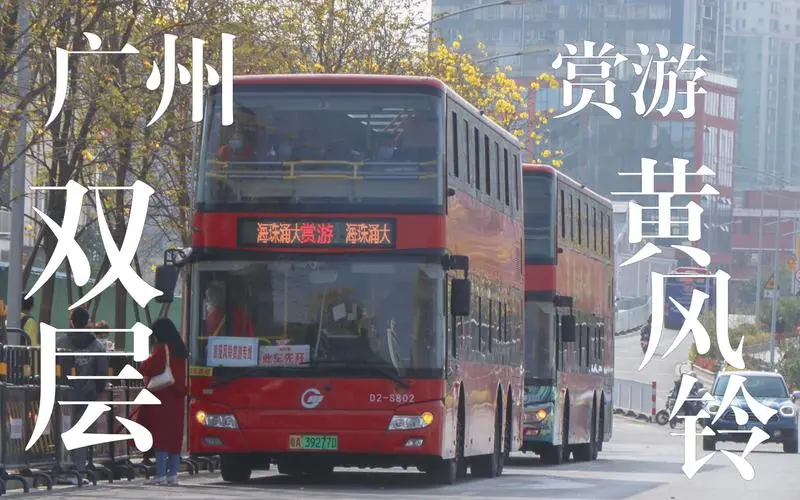 广州公交车广告（广州公交车广告招标）