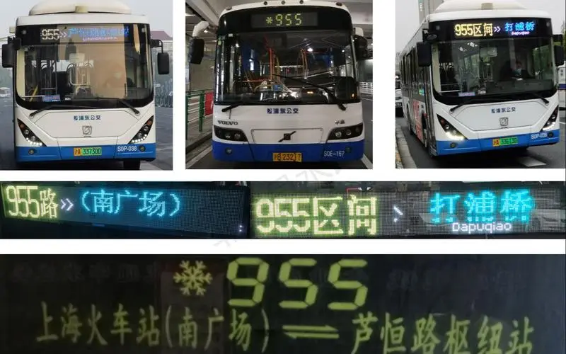 上海投放公交车广告（上海投放公交车广告违法吗）
