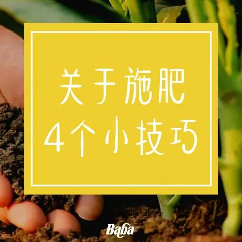 营销小技巧实用（营销小技巧实用性分析）