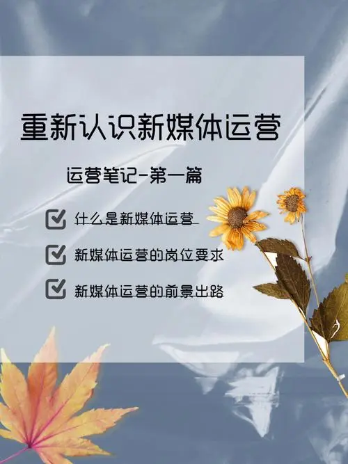 新媒体广告投放的一般流程（新媒体广告投放的一般流程是什么）