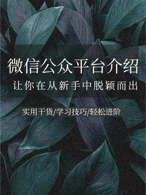 微信朋友圈附近广告投放，如何在竞争中脱颖而出？