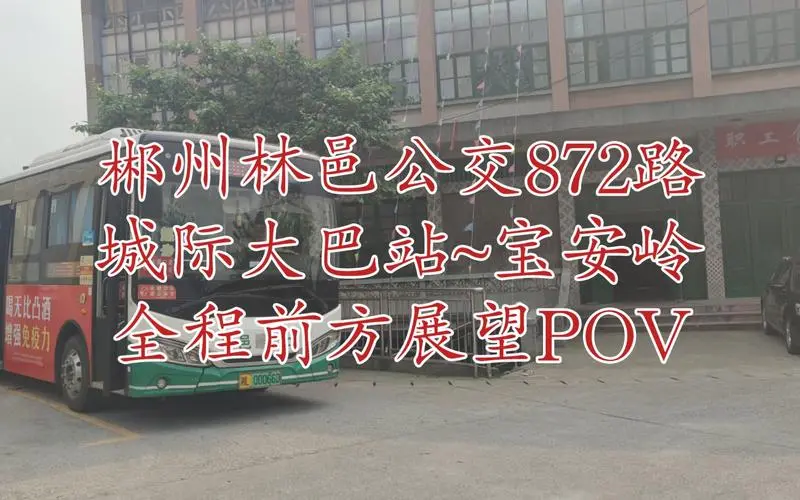 公交车身的广告（郴州公交车广告）