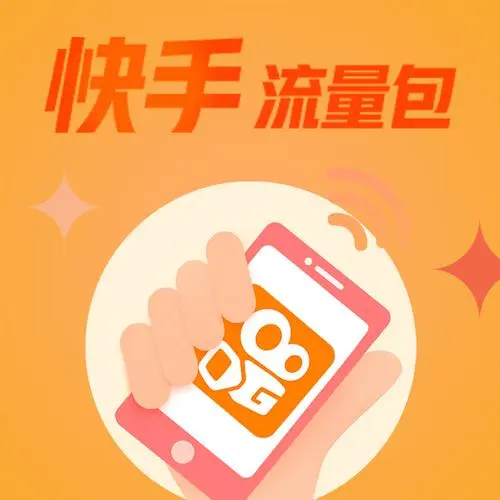 快手付费流量投放平台有哪些（快手付费推广渠道）