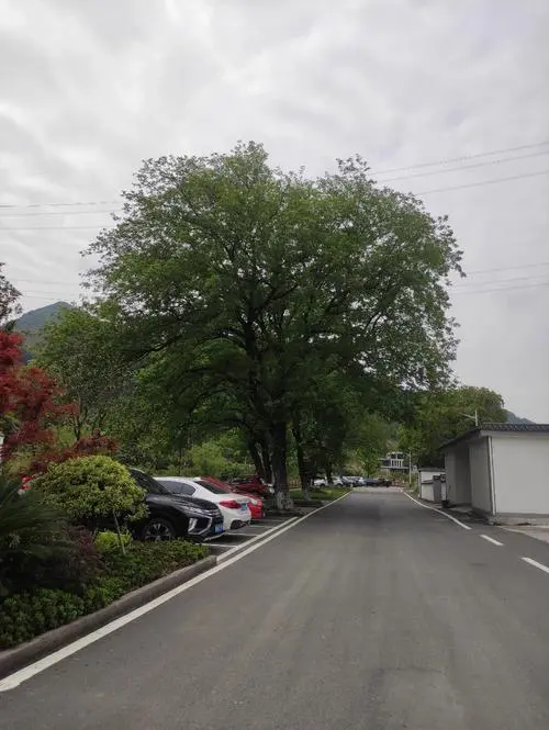 奉化区户外广告投放技巧，宁波奉化区户外广告优化策略