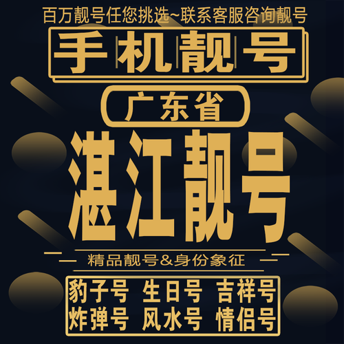 湛江百度网站快速排名（湛江市百度）