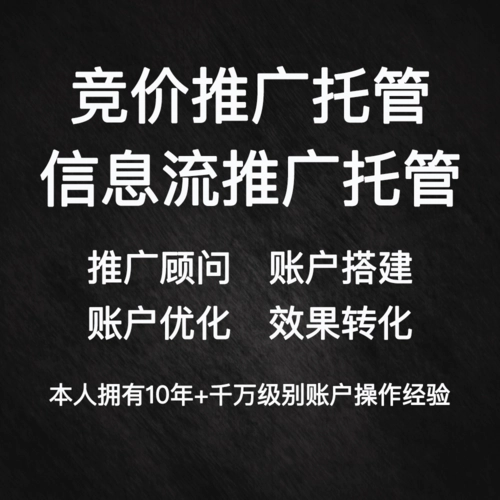 专业竞价推广代运营账户托管公司