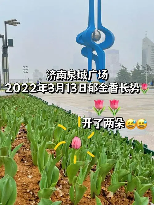 济南泉城广场广告投放收费，泉城广场广告多少钱
