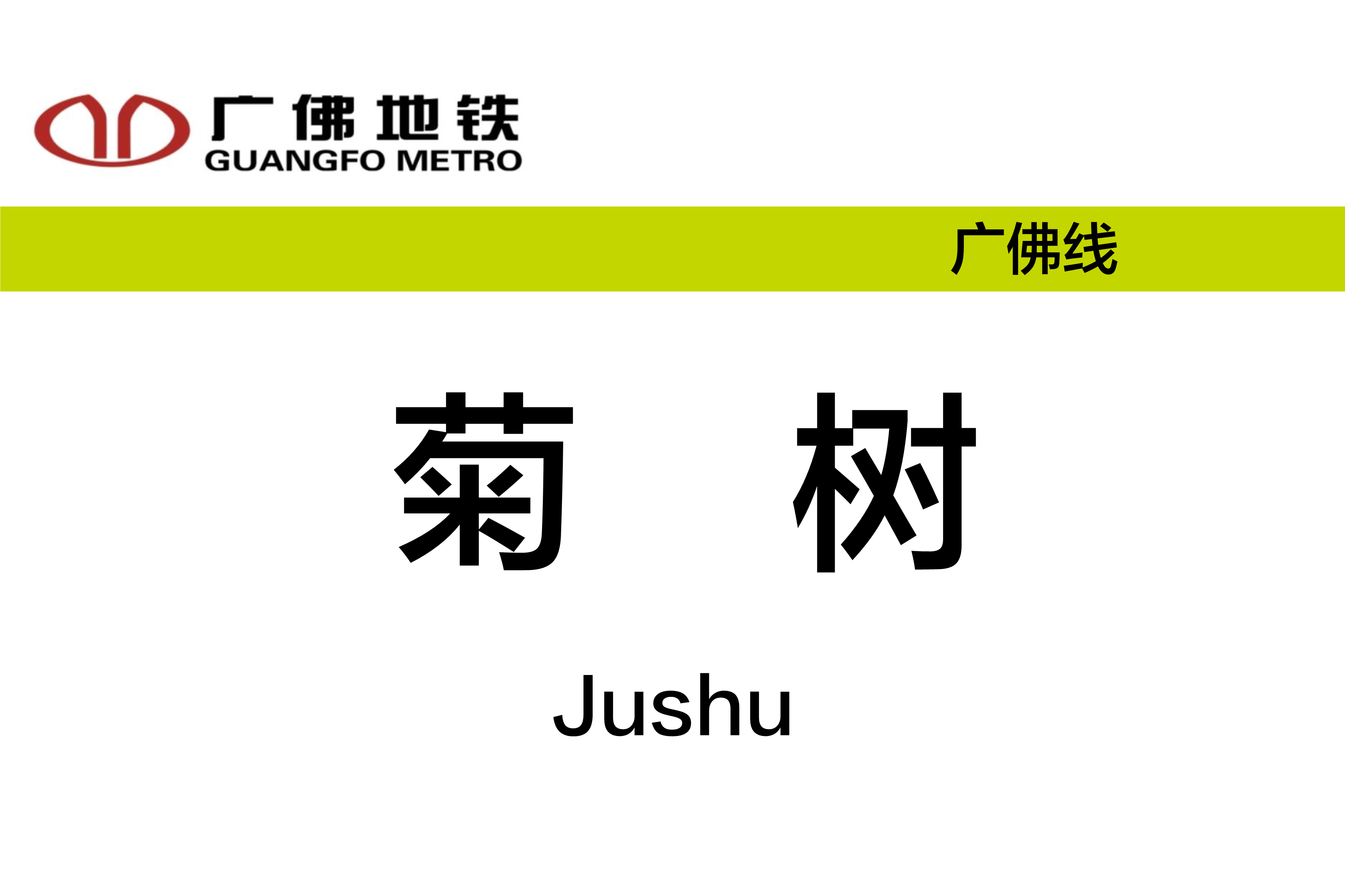 菊树