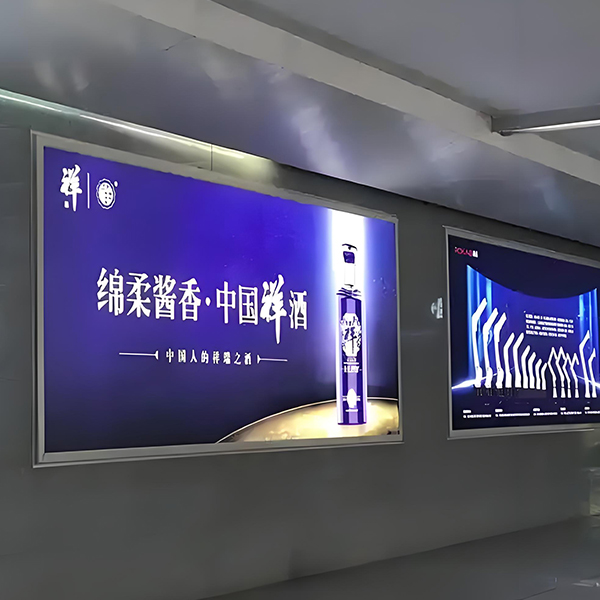 高端白领人群