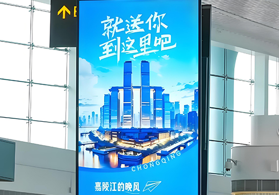 高端白领人群